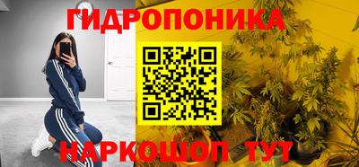 прущая мука Кингисепп